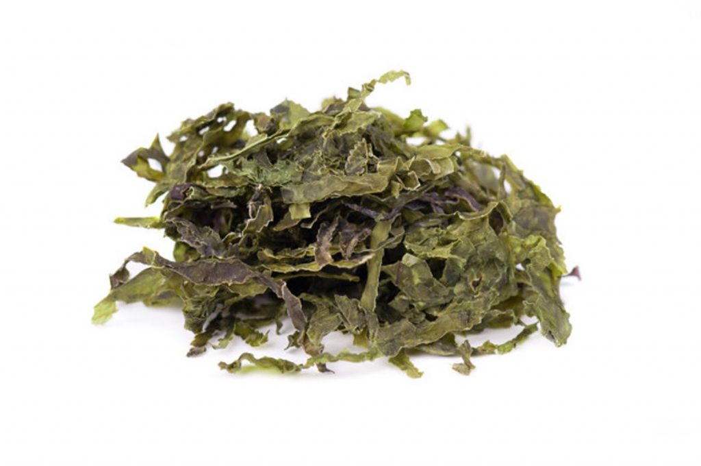 Limu Seaweed