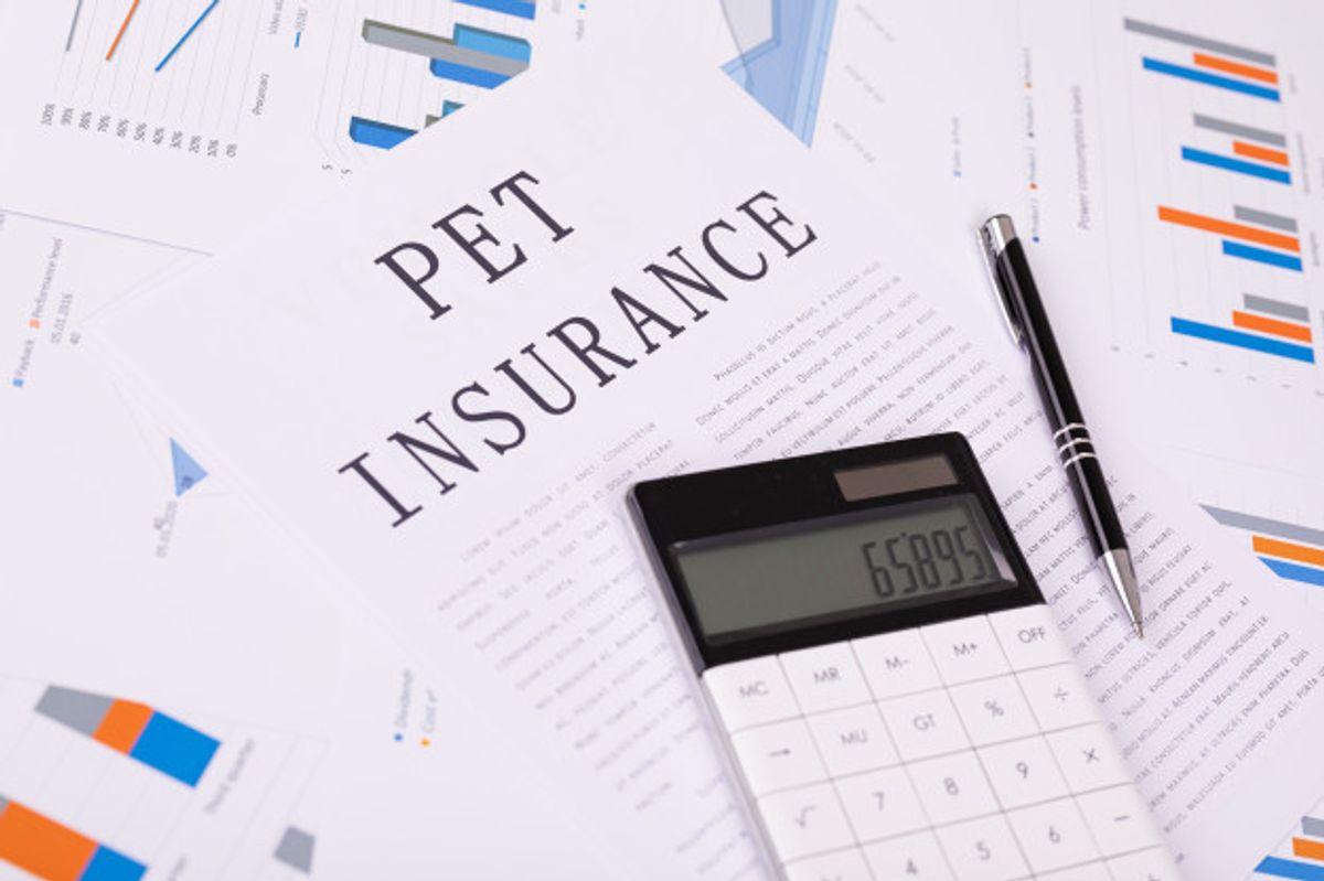 Figo Pet Insurance Reviews