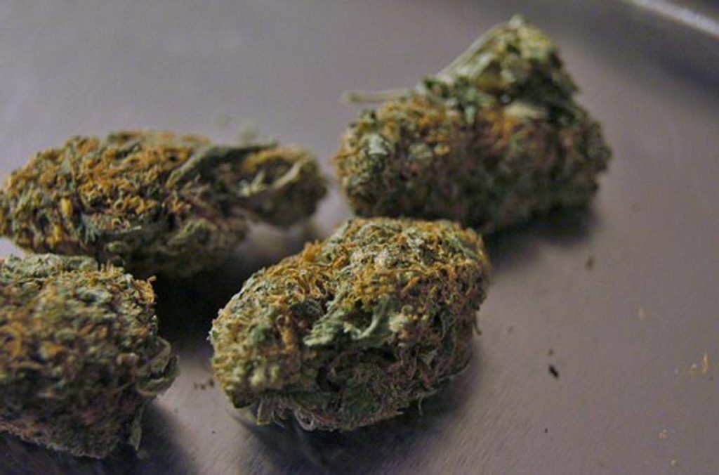 Where to buy Katsu Bubba kush