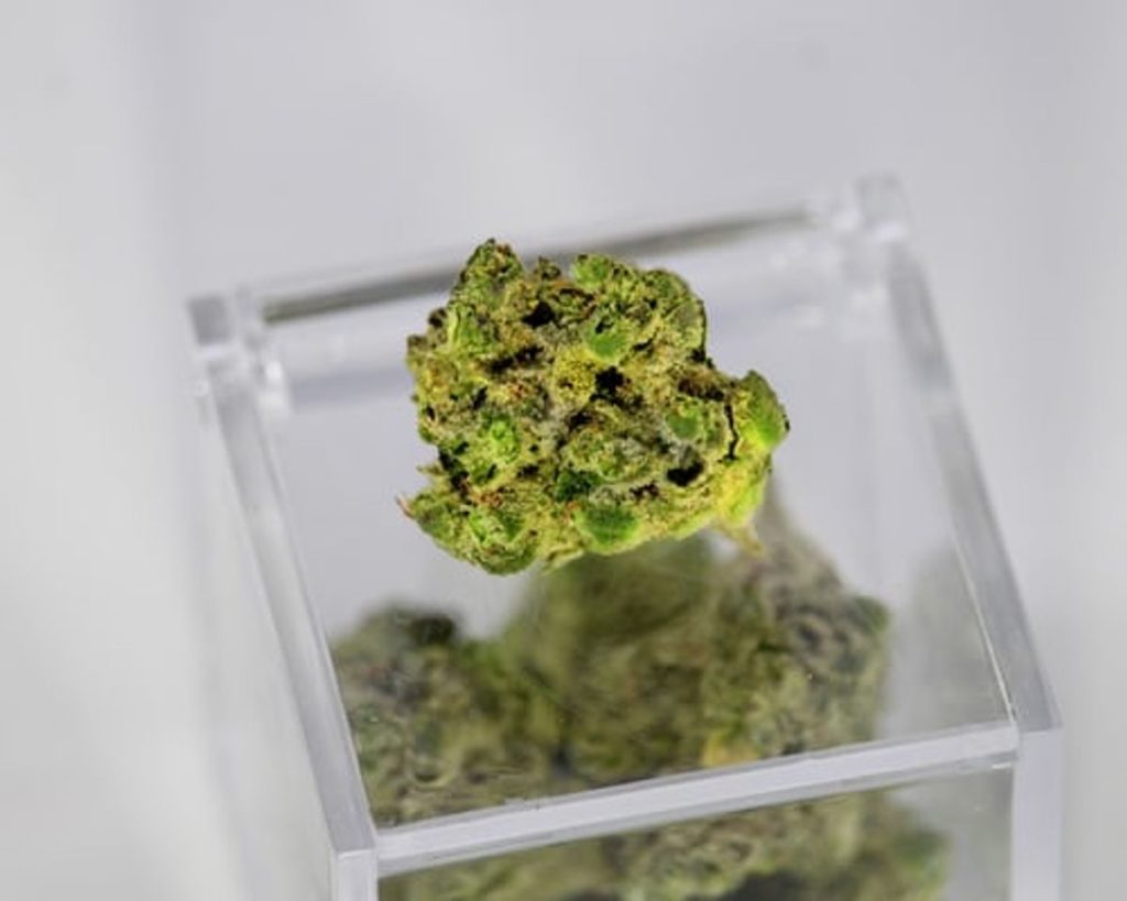 Royal Cherry Diesel Strain