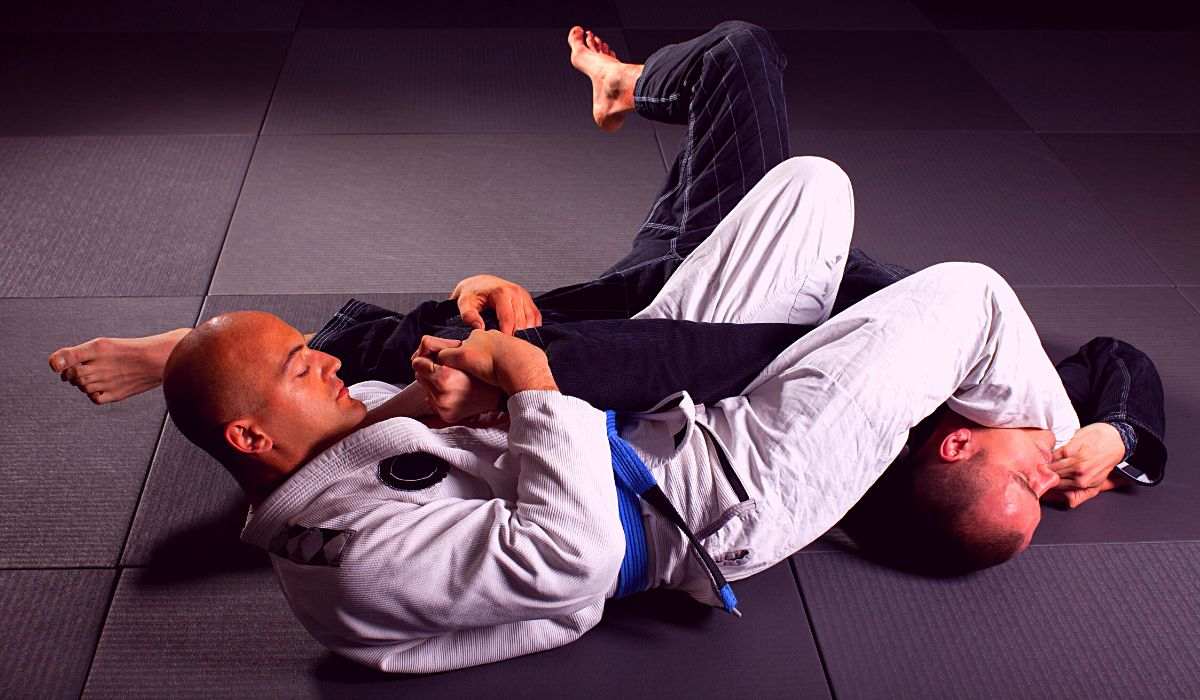 The armbar from mount