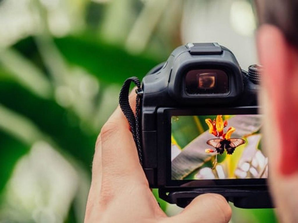 watch photography