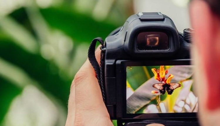 watch photography