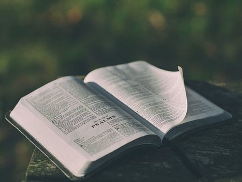 Bible purity