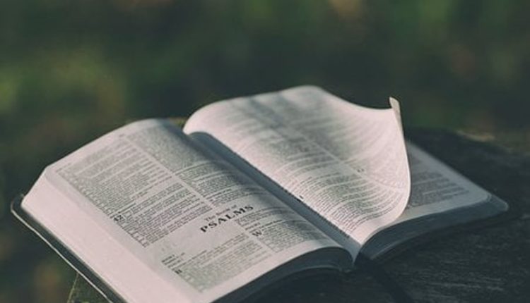 Bible purity