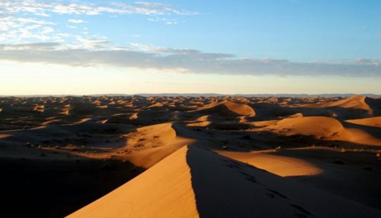 shared marrakech to fes desert tour
