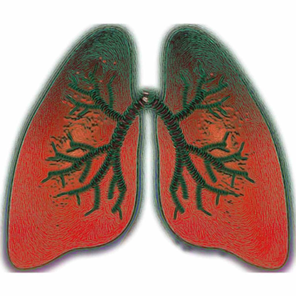 How Will You Prevent Asthma