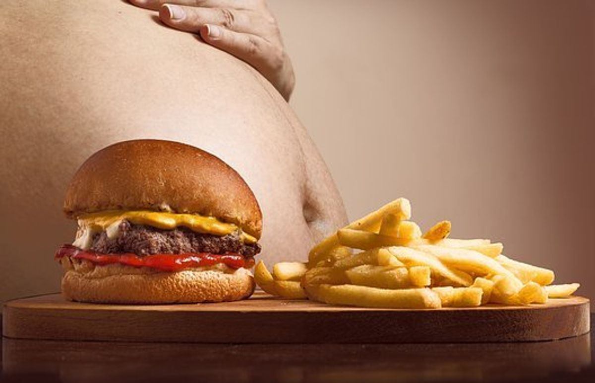 What Causes Obesity