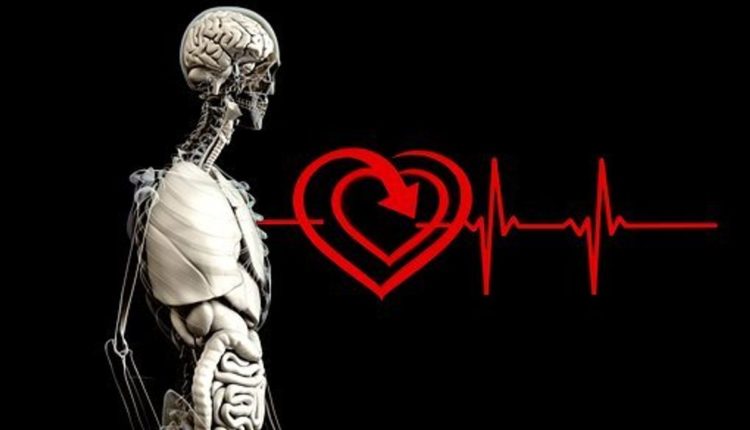 What Heart Rate Monitor