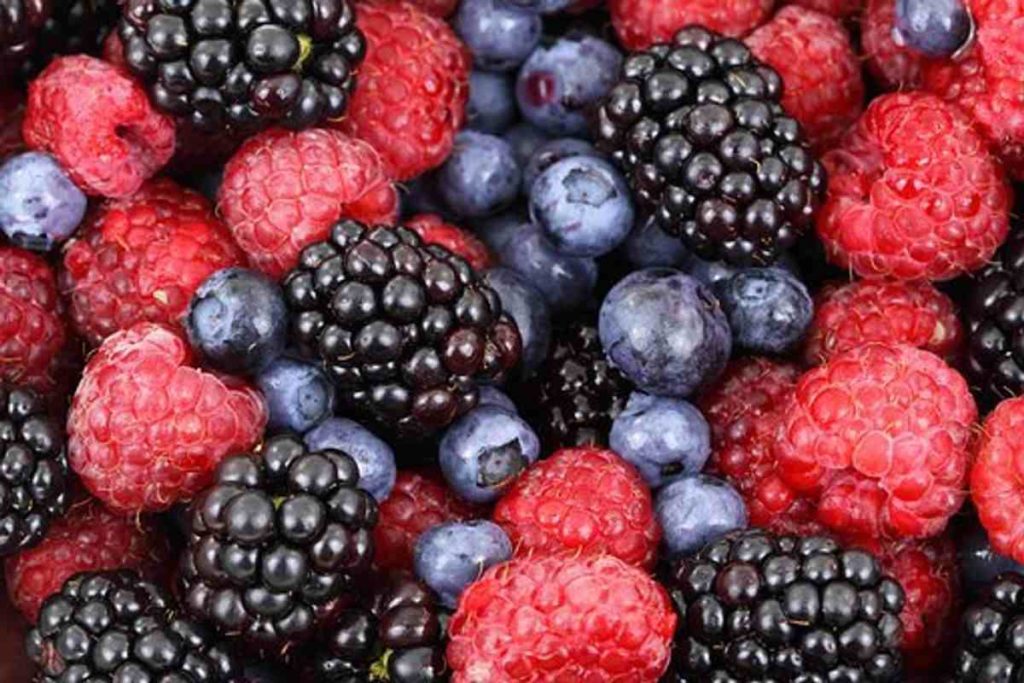 healthy nutrition for men and women