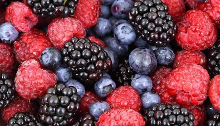 healthy nutrition for men and women