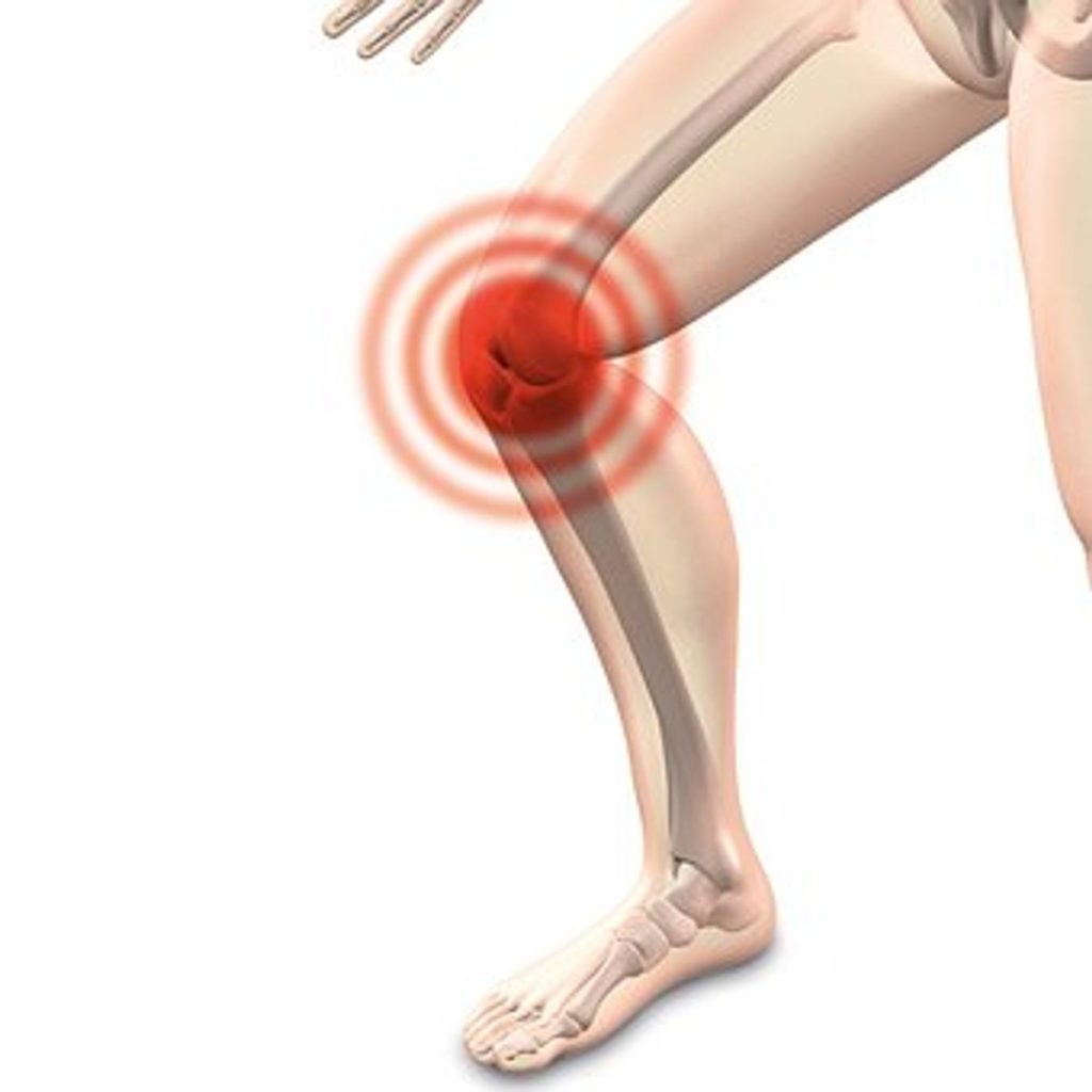 Knee Replacement Surgery Facts