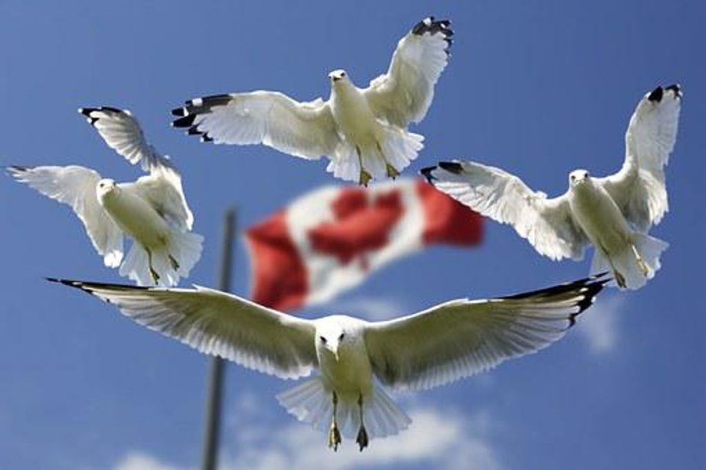 Our Canadian Immigration Story