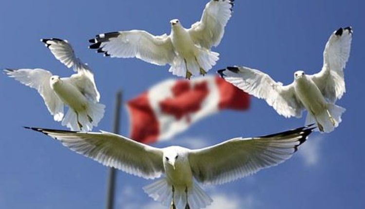 Our Canadian Immigration Story
