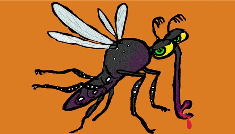 What Is Zika