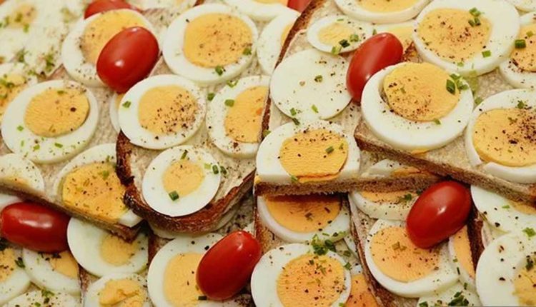 What is Protein