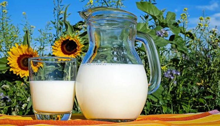 How Your Body Uses Protein