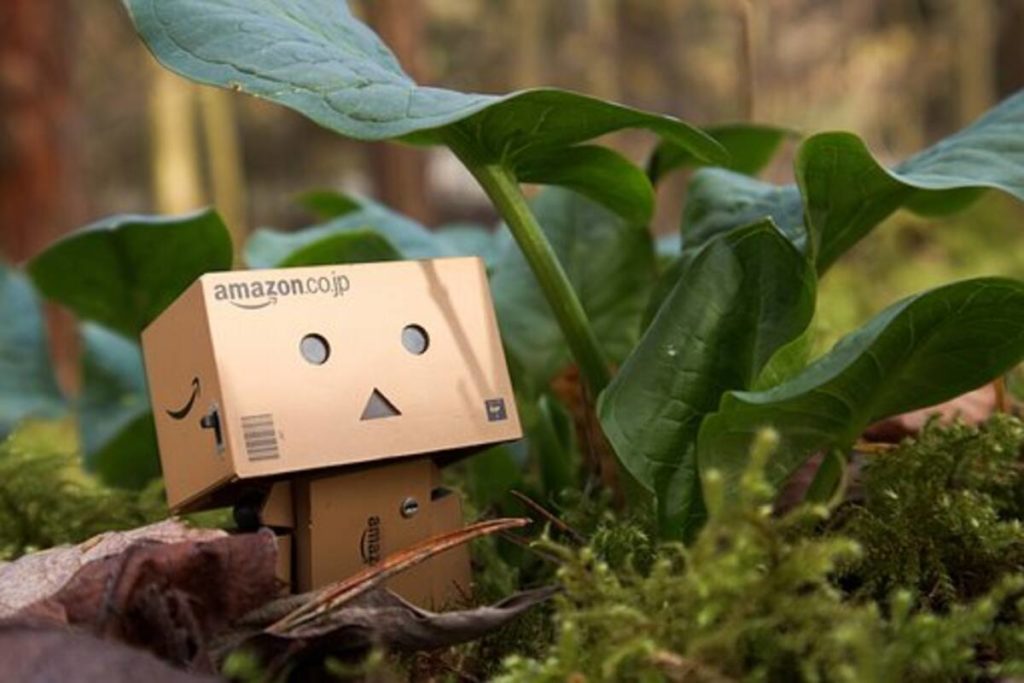 The Rise Of Amazon
