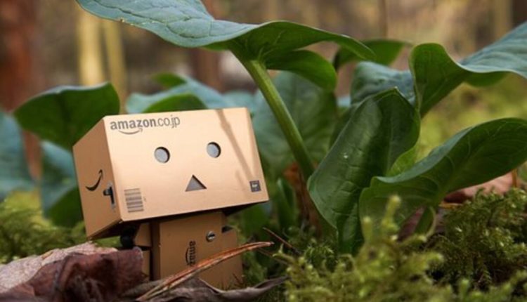 The Rise Of Amazon