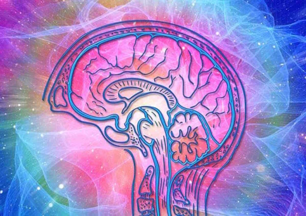 psychoterapeuta-online.pl/polski-psycholog-tegelen-holandia/