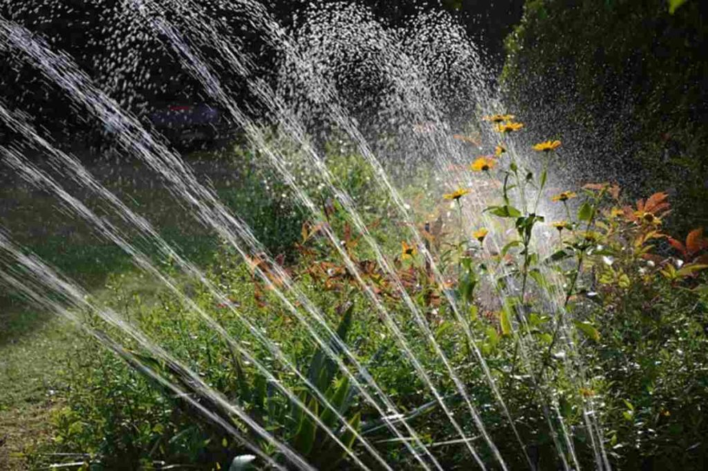 How To Install A Preformed Pond