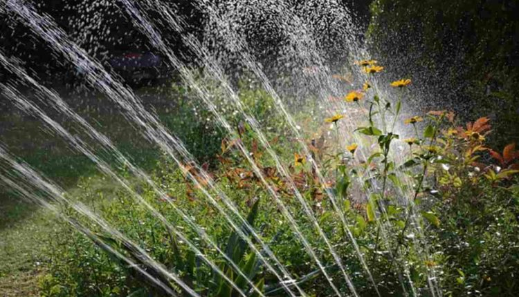 How To Install A Preformed Pond