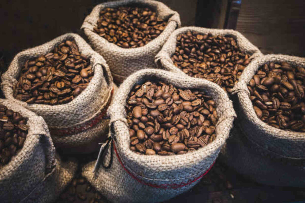 The final Guide to Bean to Goblet Coffee Machines