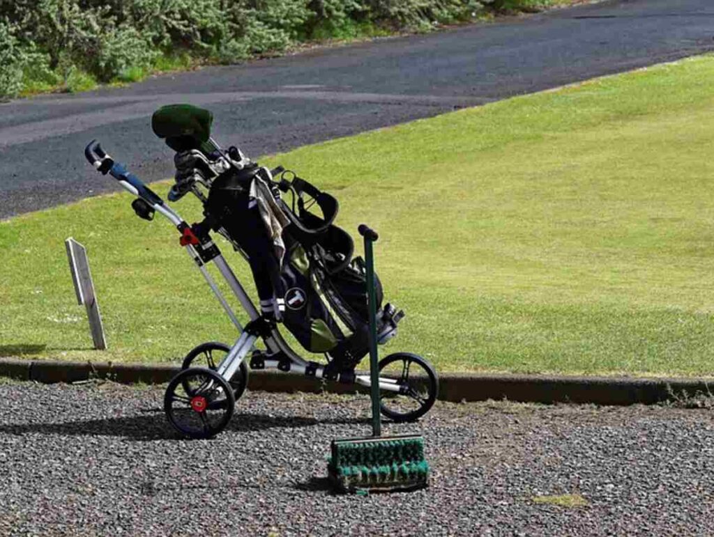 Benefits of Using Leather Golf Bags